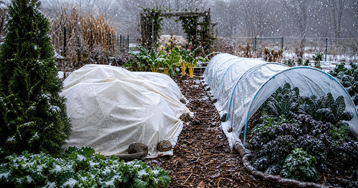 Cover image for the Gardun article “How to Plan a Rain Garden for Stormwater and Wildlife”
